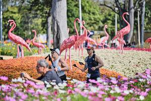 BIB: 
                            <button type="button" onclick="openModal(27806065)" class="btn btn-primary btn-sm float-right btn-popup" data-toggle="modal" data-target=".modal-high-quality">
                        <i class="fas fa-shopping-cart"></i> Add to Cart
                    </button>
                                            <button type="button" onclick="isThisMe(27806065, true)" class="btn btn-success btn-sm float-right btn-popup btn-isme hidden" data-toggle="tooltip" data-placement="bottom" title="นี่คือรูปของคุณใช่ไหม คลิกที่นี่เพื่อเอาเข้าอัลบั้ม">
                        <i class="fas fa-plus"></i> Add to album
                    </button>
                    <button type="button" onclick="isThisMe(27806065, false)" class="btn btn-warning btn-sm float-right btn-popup btn-isnotme hidden">
                        <i class="fas fa-ban"></i> Remove from album
                    </button>